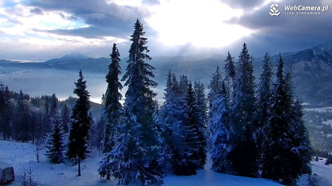 Butorowy Wierch - 03 luty 2026, 08:28