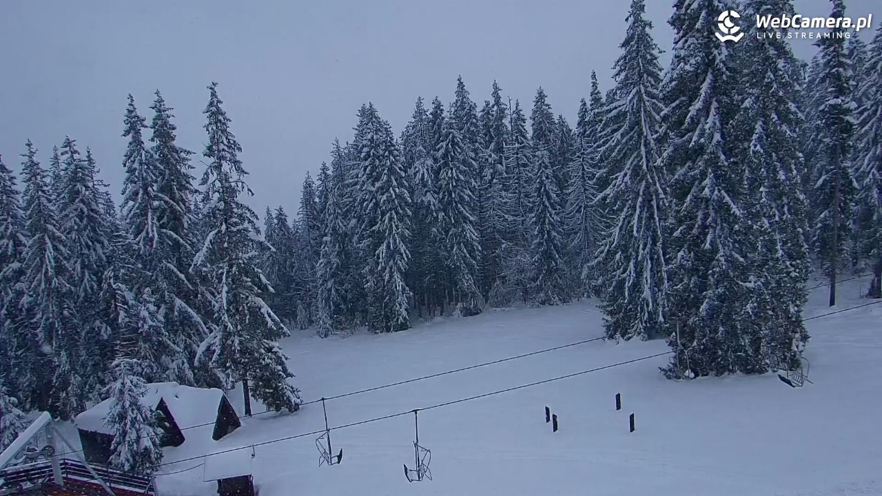 Butorowy Wierch - 01 kwiecień 2026, 14:18