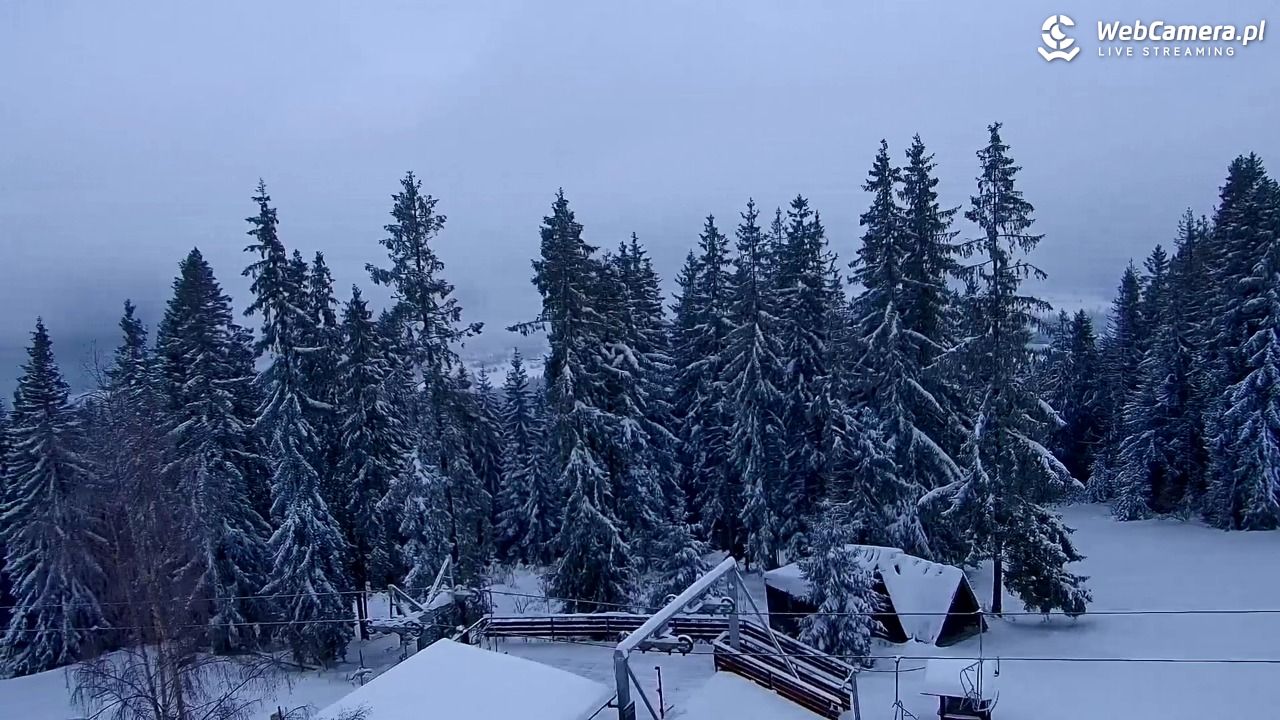 Butorowy Wierch - 22 listopad 2025, 11:36