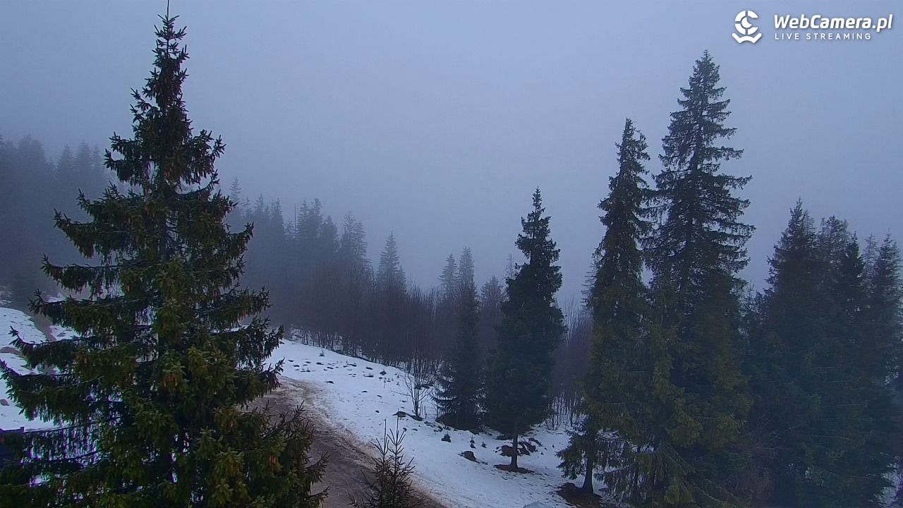 Butorowy Wierch - 07 luty 2026, 12:52