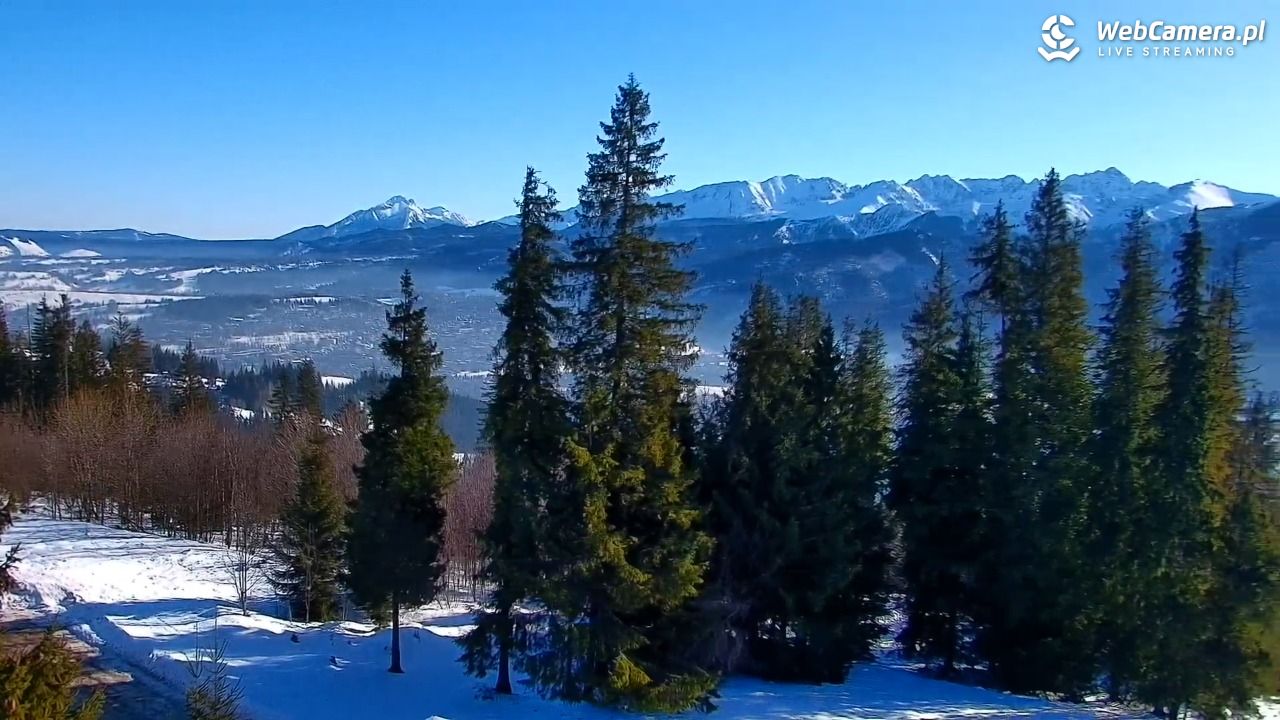 Butorowy Wierch - 19 styczeń 2026, 11:21