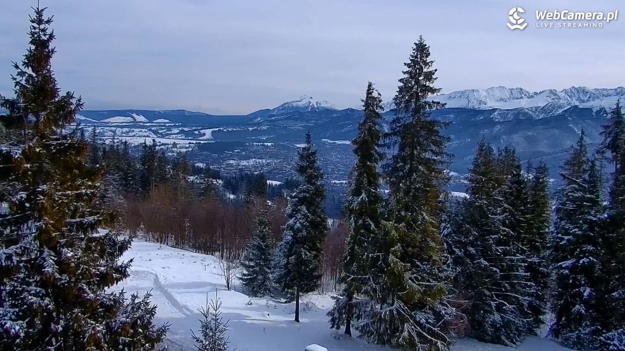 Butorowy Wierch - 20 luty 2026, 11:23