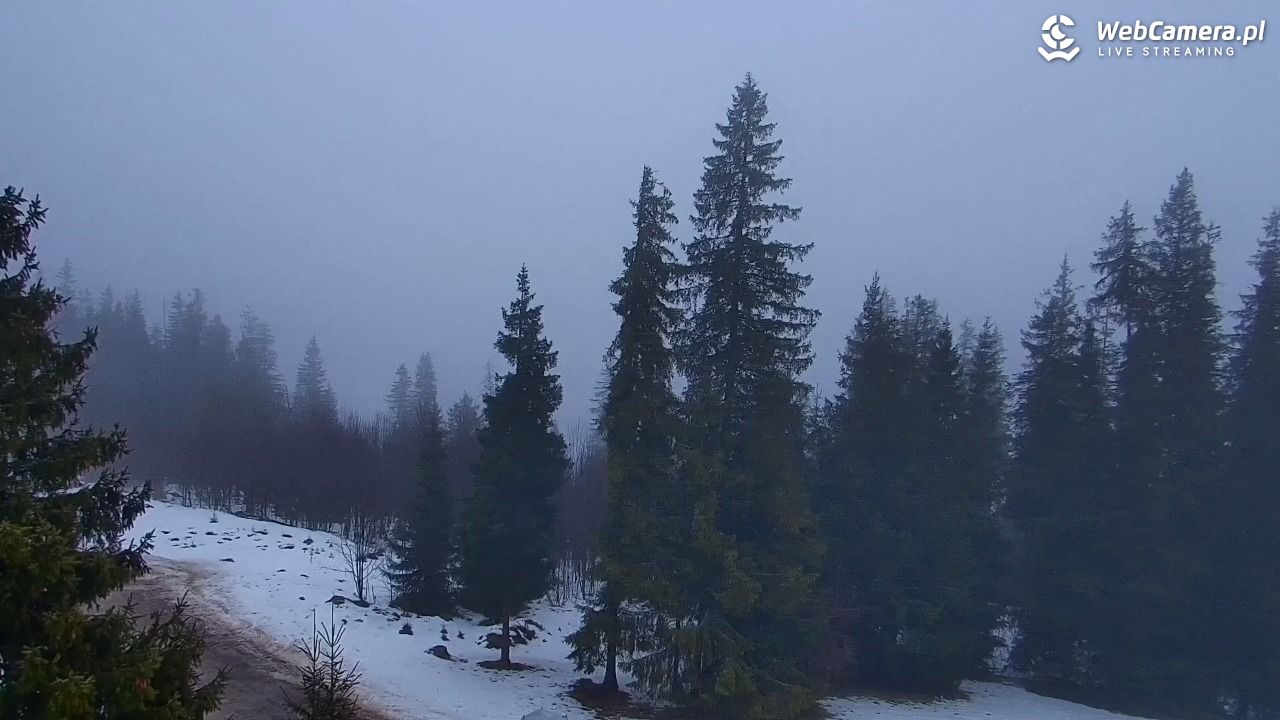 Butorowy Wierch - 07 luty 2026, 12:52
