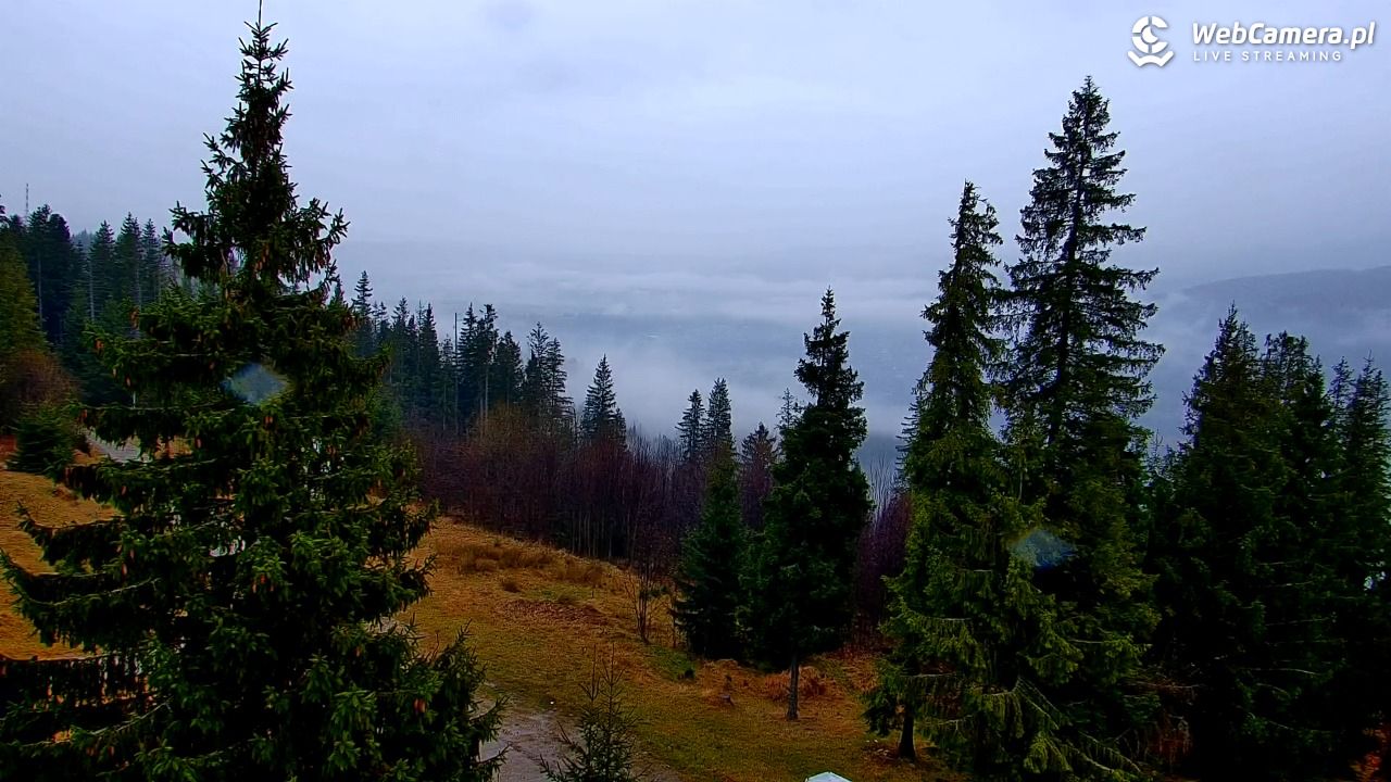 Butorowy Wierch - 17 listopad 2025, 11:09