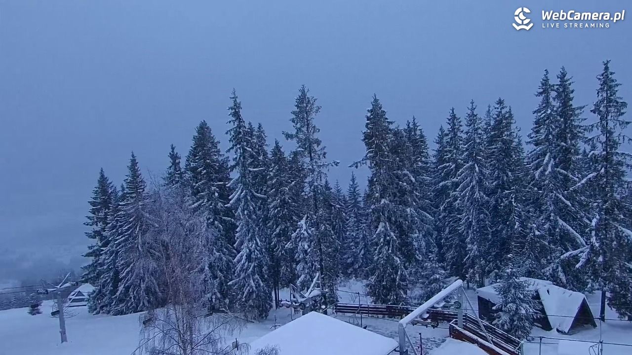 Butorowy Wierch - 11 styczeń 2026, 14:16