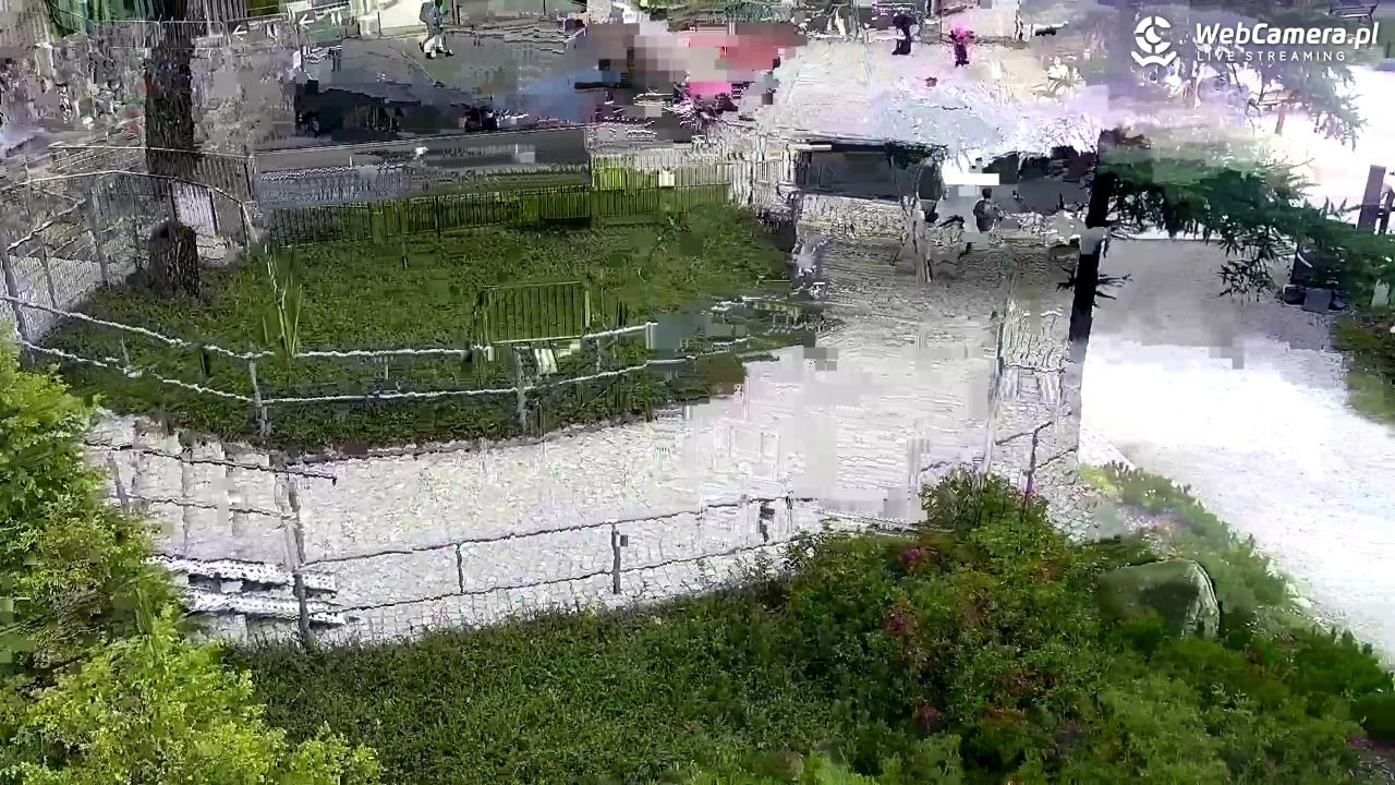 KUŹNICE - Kolej na Kasprowy Wierch - 19 lipiec 2026, 15:11