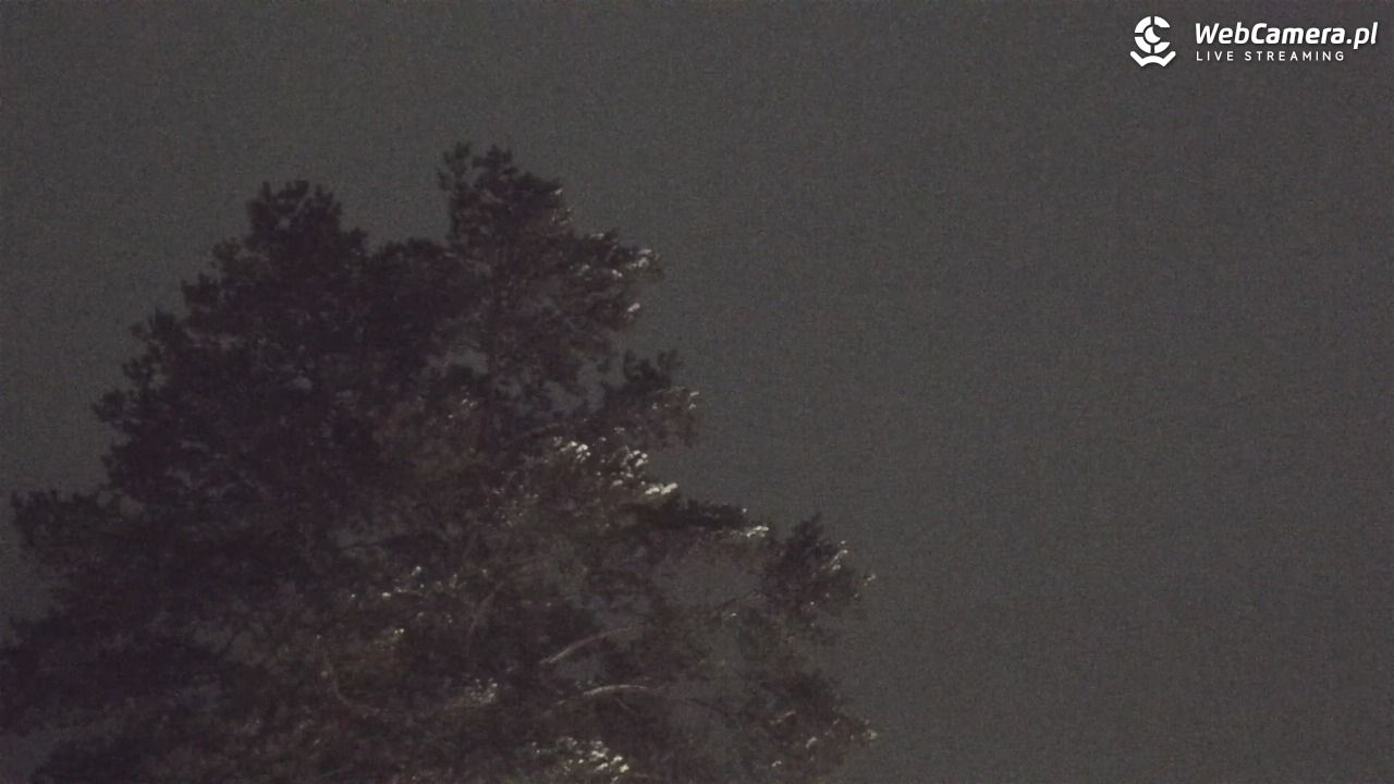 Solina Grupa PKL - widok z góry Jawor NOWOŚĆ - 31 grudzień 2025, 19:01