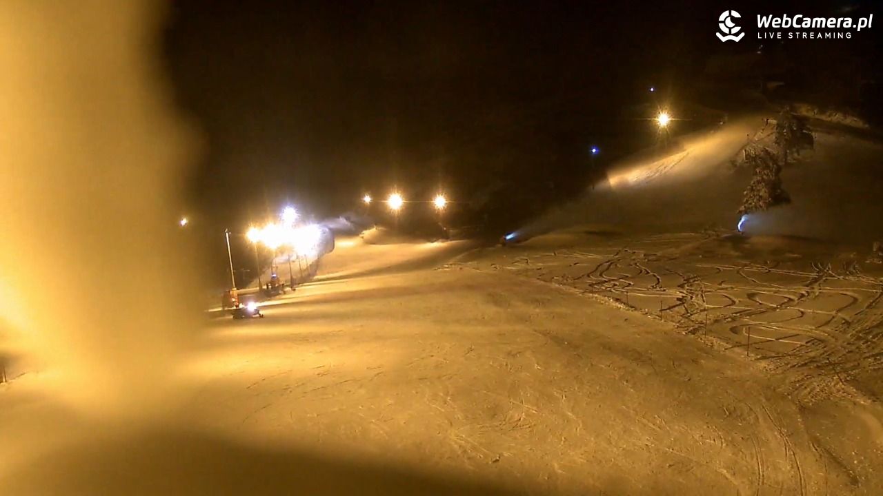 Widok na szczyt Palenicy z Szafranówki - 10 styczeń 2026, 20:38