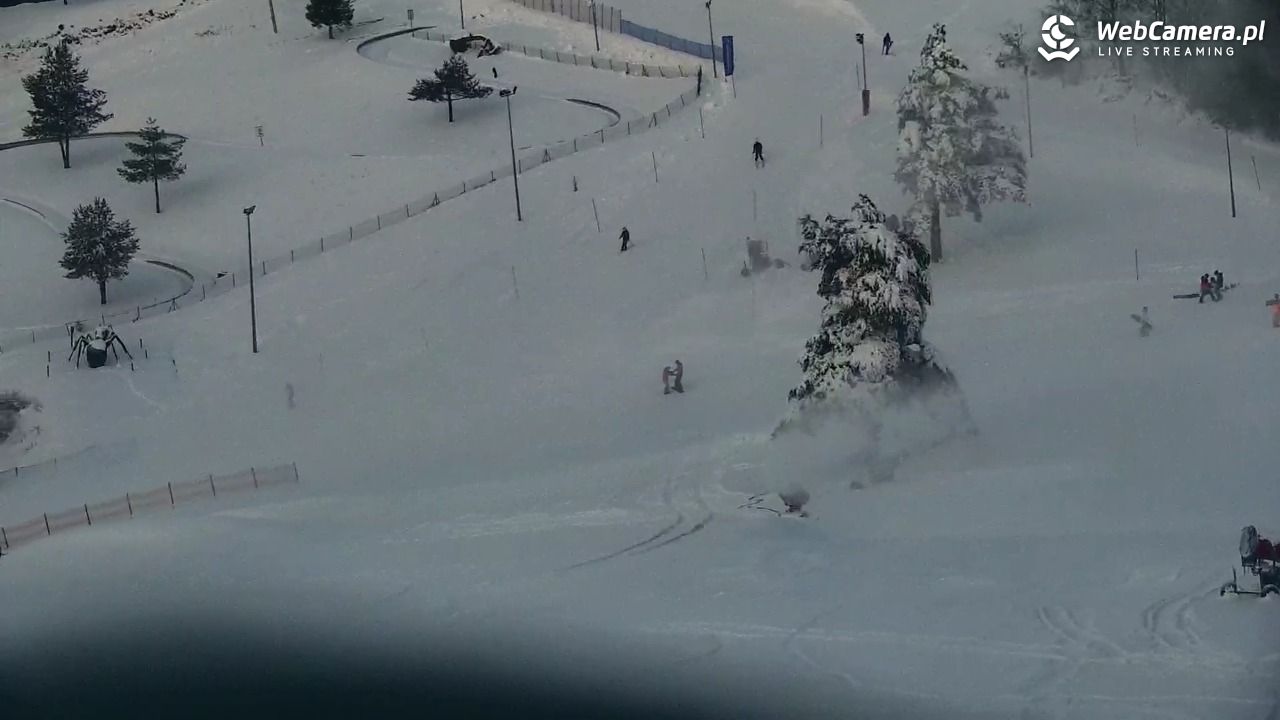 Widok na szczyt Palenicy z Szafranówki - 10 styczeń 2026, 12:28