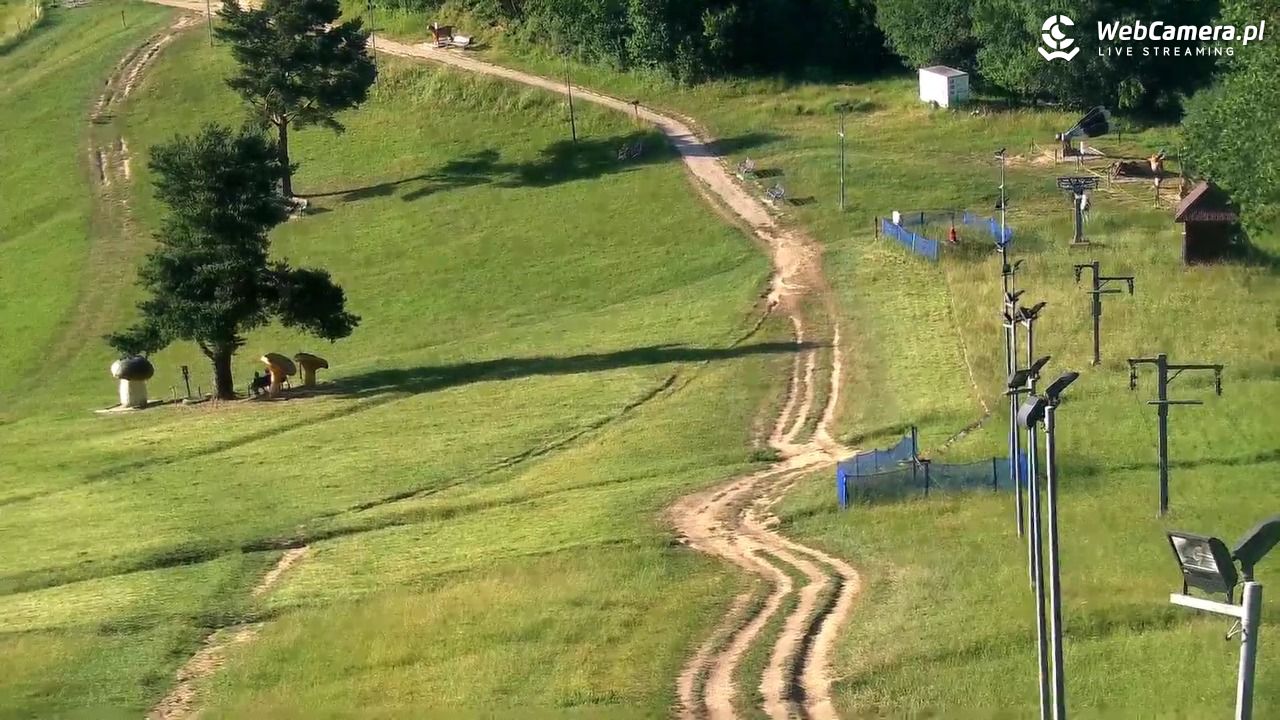 Widok na szczyt Palenicy z Szafranówki - 03 lipiec 2025, 18:27
