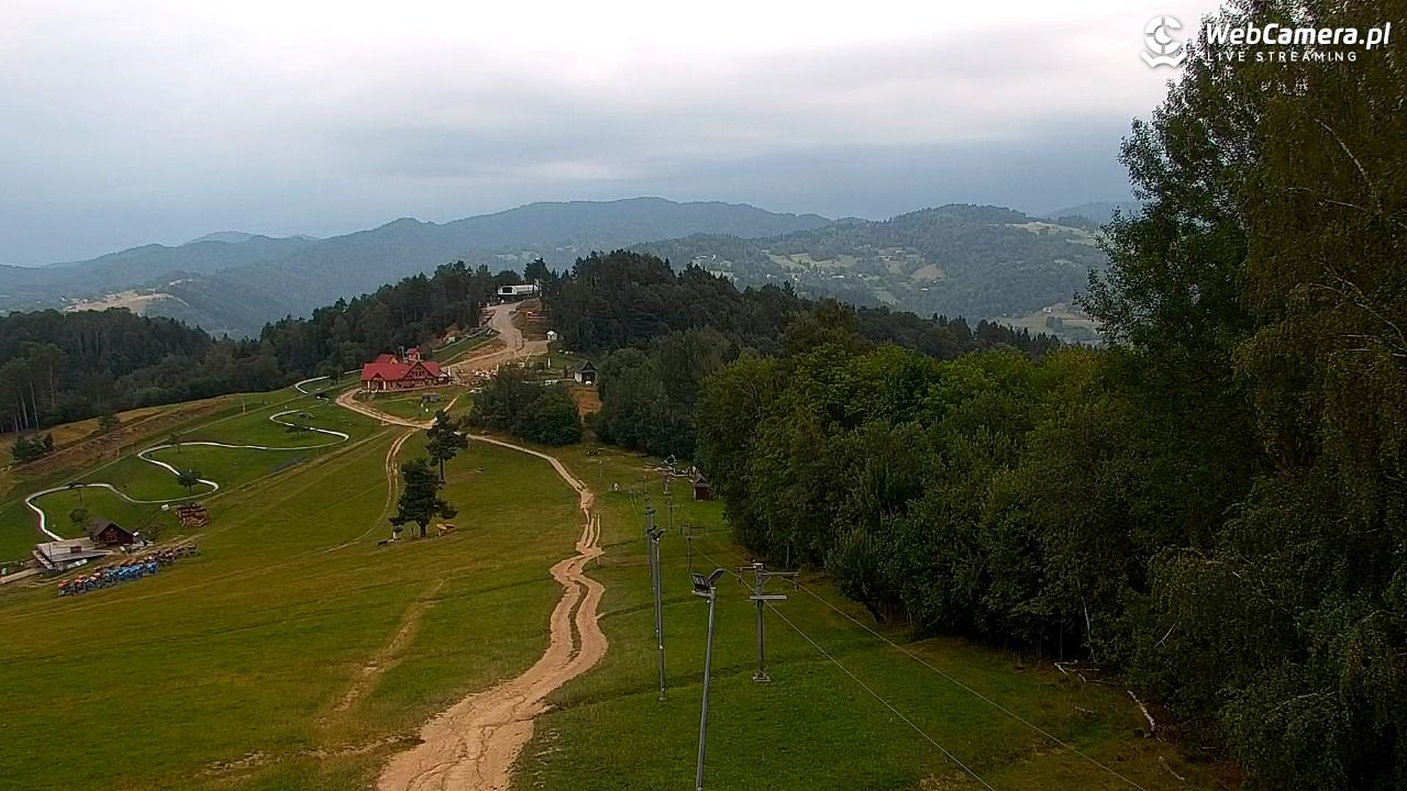 Szczawnica Palenica Szafranówka - PKL - 07 sierpień 2026, 06:16