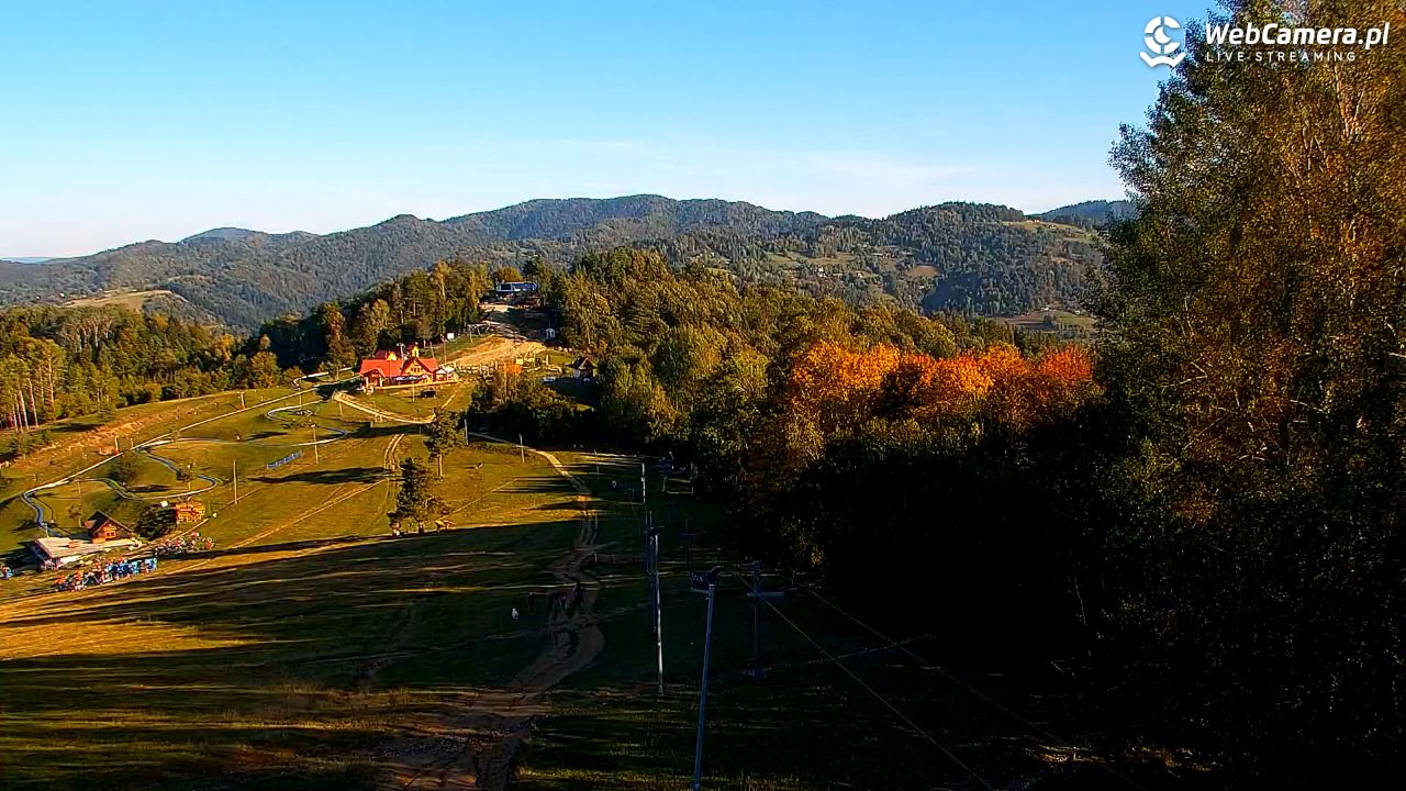 Szczawnica Palenica Szafranówka - PKL - 30 wresień 2026, 08:46