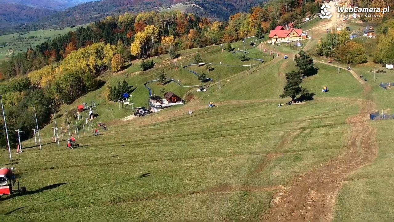 Widok na szczyt Palenicy z Szafranówki - 20 październik 2025, 12:48