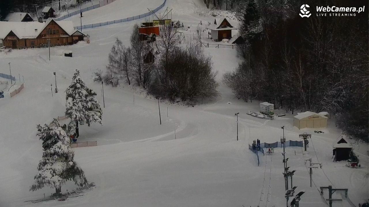 Widok na szczyt Palenicy z Szafranówki - 14 styczeń 2026, 10:42