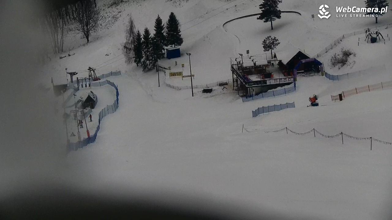 Widok na szczyt Palenicy z Szafranówki - 10 styczeń 2026, 20:44