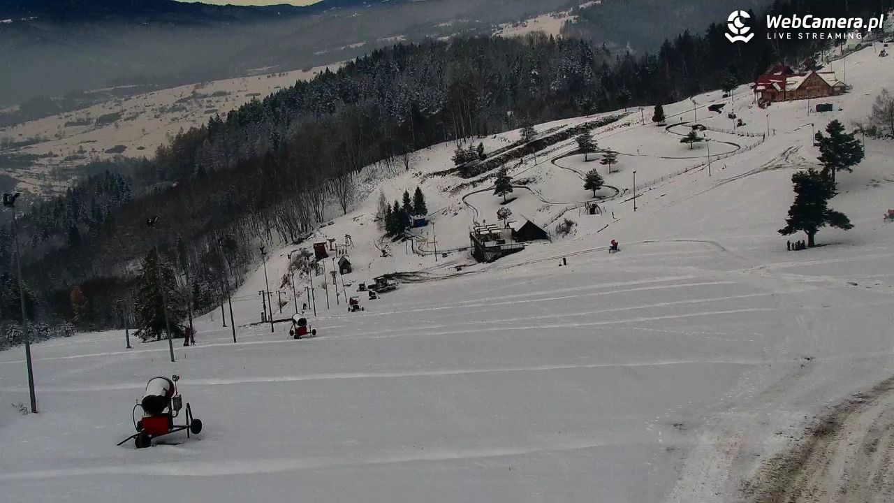 Widok na szczyt Palenicy z Szafranówki - 29 listopad 2025, 11:13