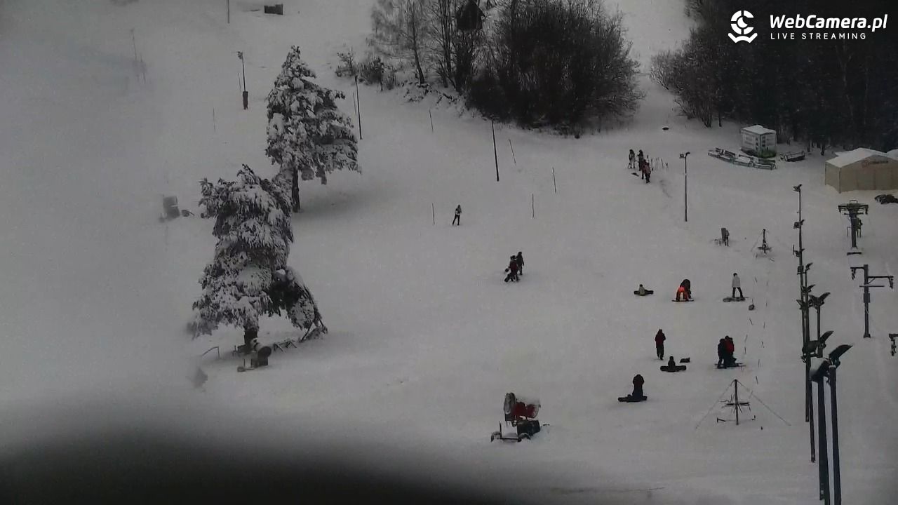 Widok na szczyt Palenicy z Szafranówki - 10 styczeń 2026, 09:52