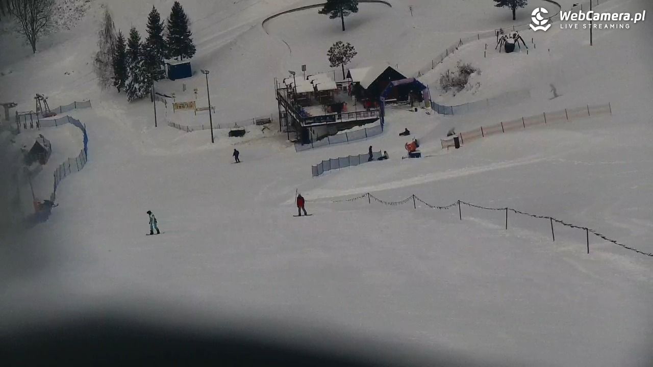 Widok na szczyt Palenicy z Szafranówki - 10 styczeń 2026, 10:56