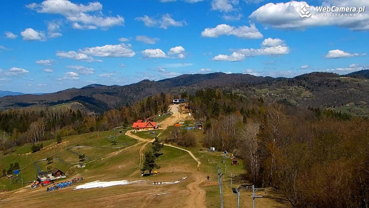 Szczawnica Palenica Szafranówka - PKL - 23 kwiecień 2026, 12:00