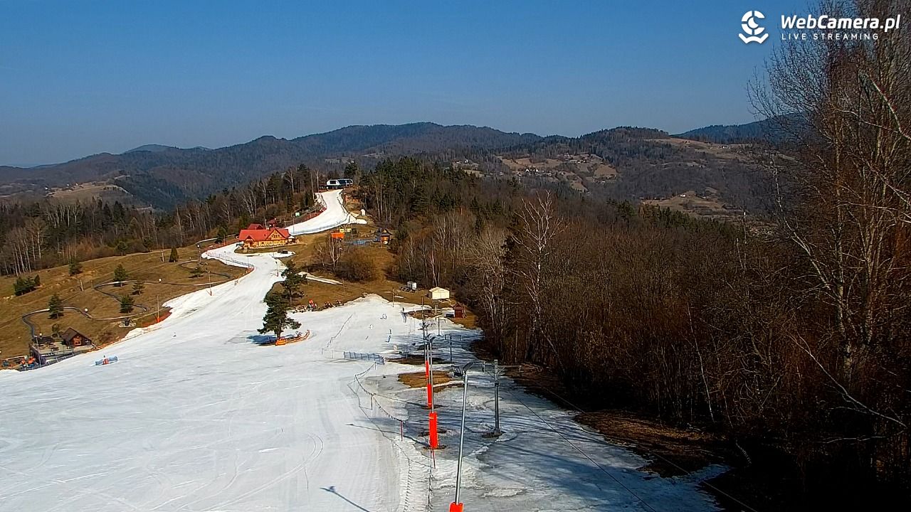 Szczawnica Palenica Szafranówka - PKL - 11 marzec 2026, 10:30