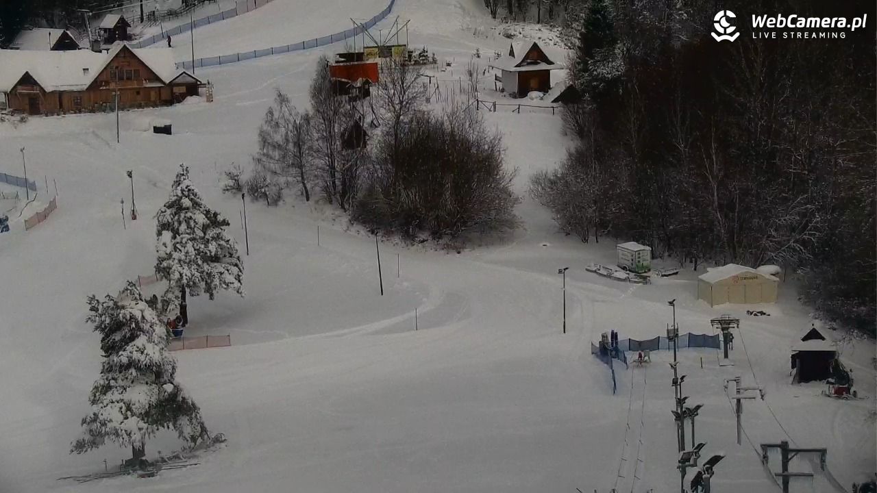 Widok na szczyt Palenicy z Szafranówki - 14 styczeń 2026, 10:42