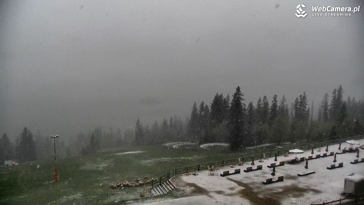 Gubałówka - Zakopane - 15 maj 2025, 09:53