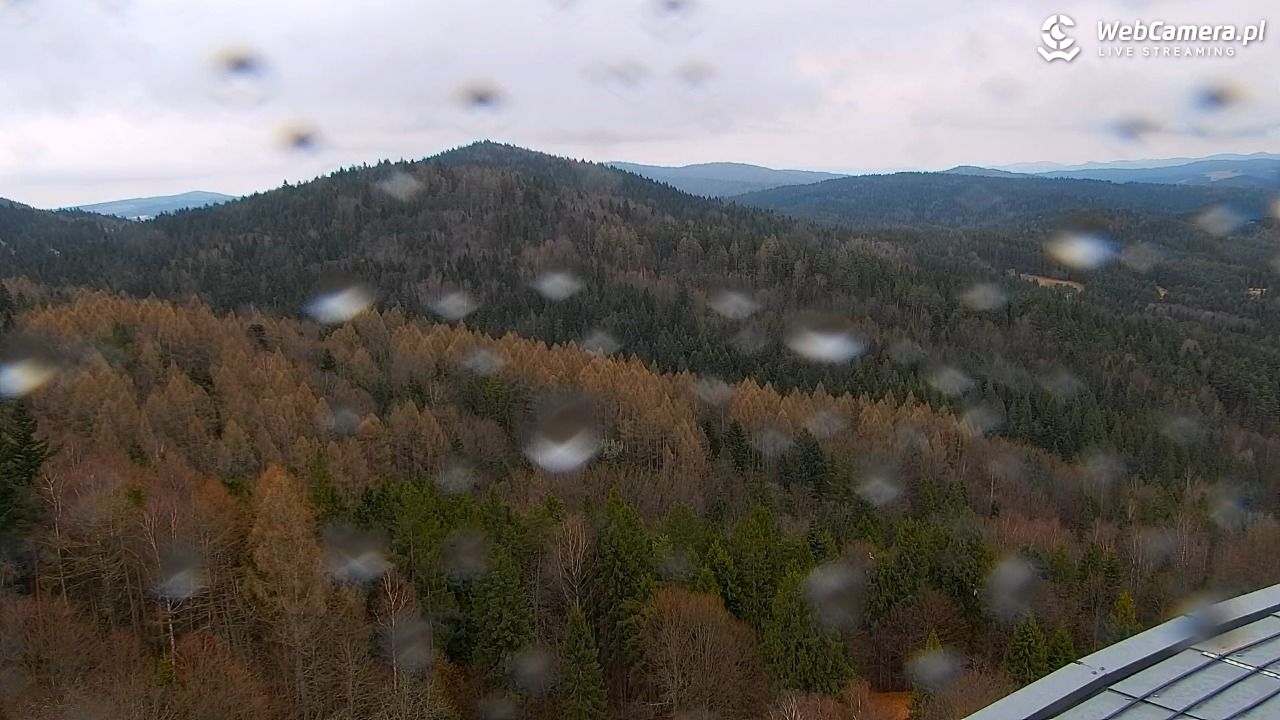 PKL Góra Parkowa - widok z wieży widokowej NOWOŚĆ - 26 marzec 2026, 13:37