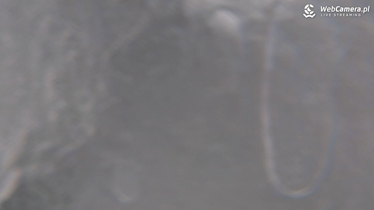 PKL Góra Parkowa - widok z wieży widokowej NOWOŚĆ - 27 marzec 2026, 08:02