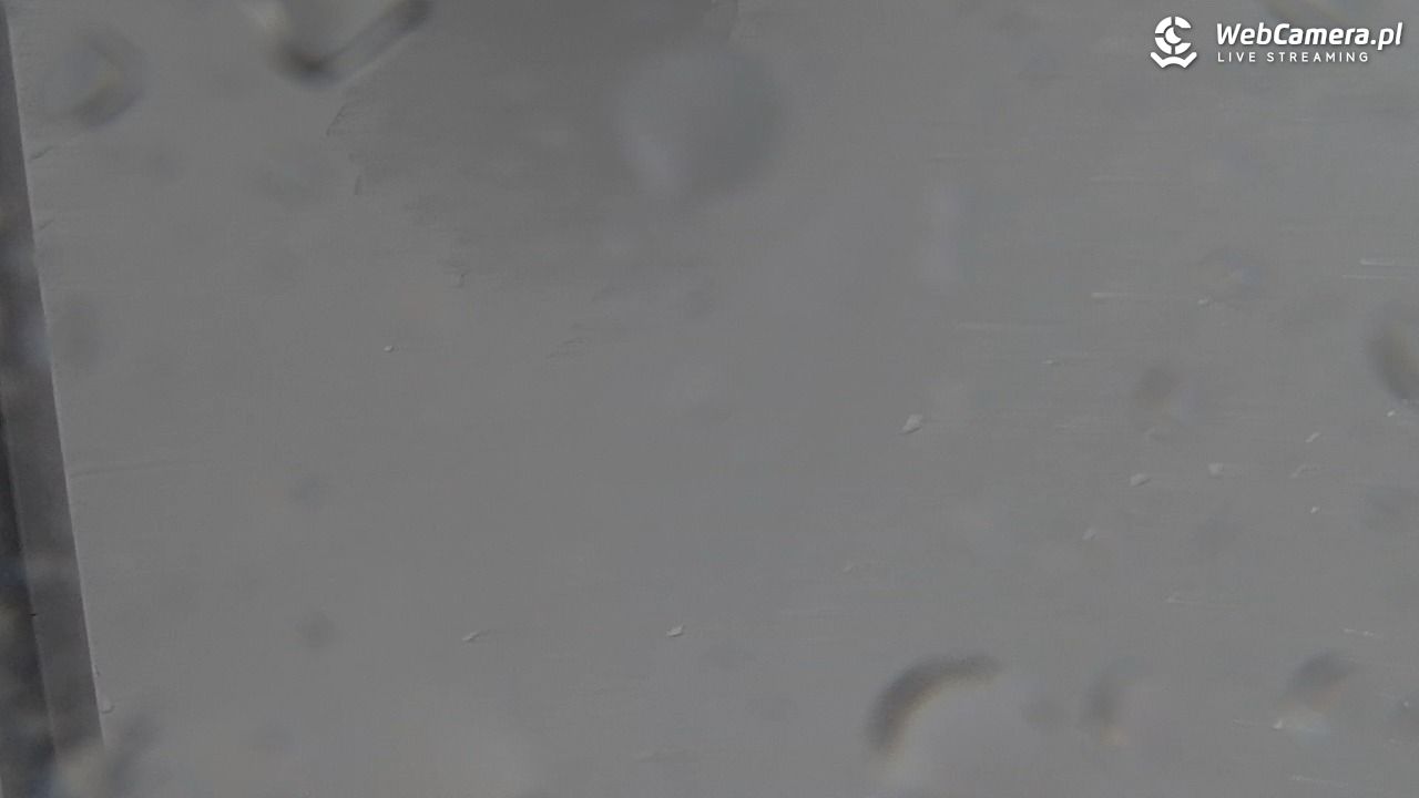 PKL Góra Parkowa - widok z wieży widokowej NOWOŚĆ - 28 marzec 2026, 14:22