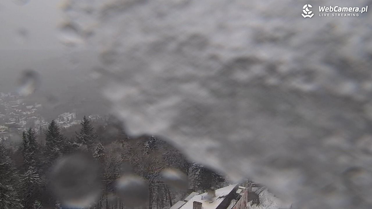 PKL Góra Parkowa - widok z wieży widokowej NOWOŚĆ - 31 marzec 2026, 09:15