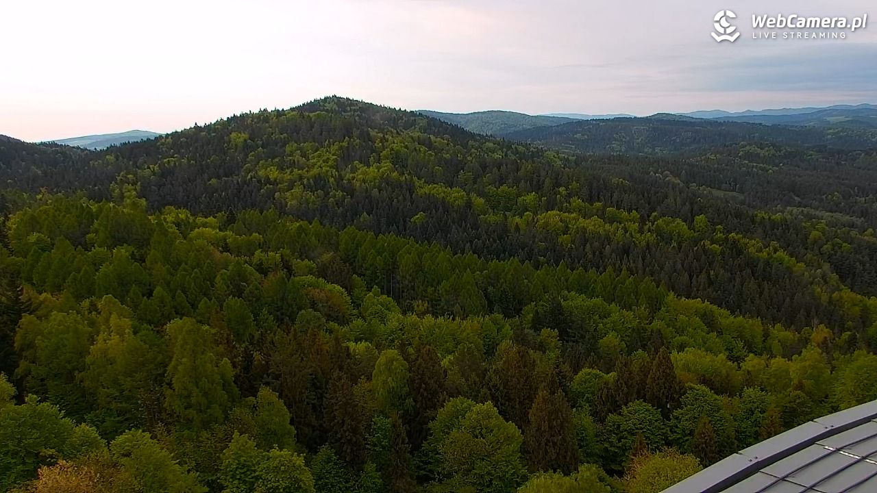 PKL Góra Parkowa - widok z wieży widokowej NOWOŚĆ - 15 maj 2026, 06:42