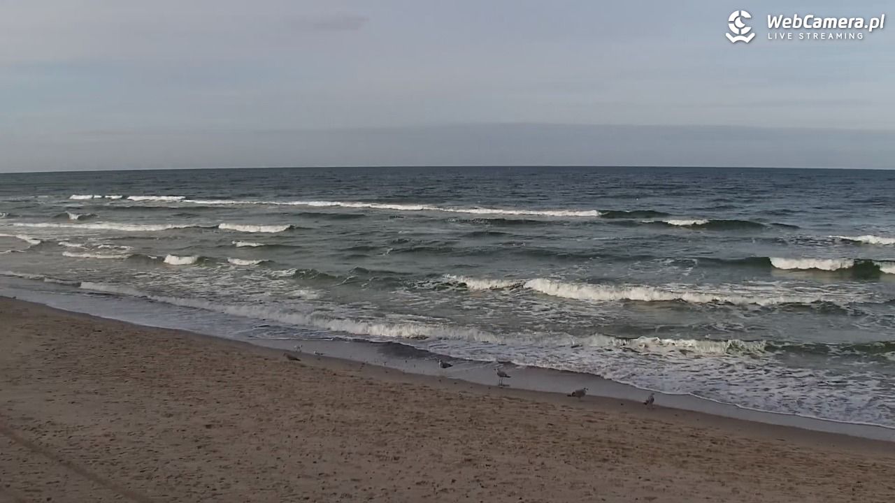 POBIEROWO - widok na plaże - 29 październik 2025, 11:48