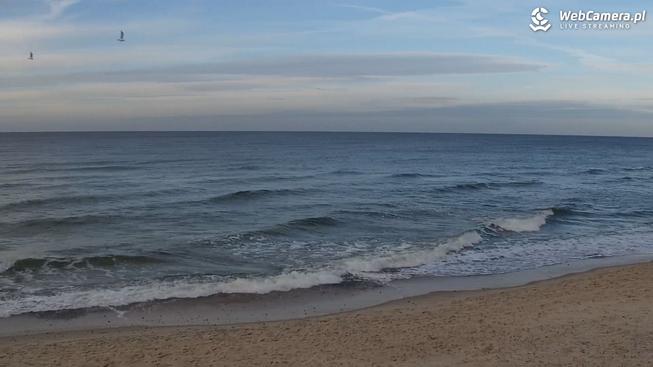 POBIEROWO - widok na plaże - 29 październik 2025, 15:09