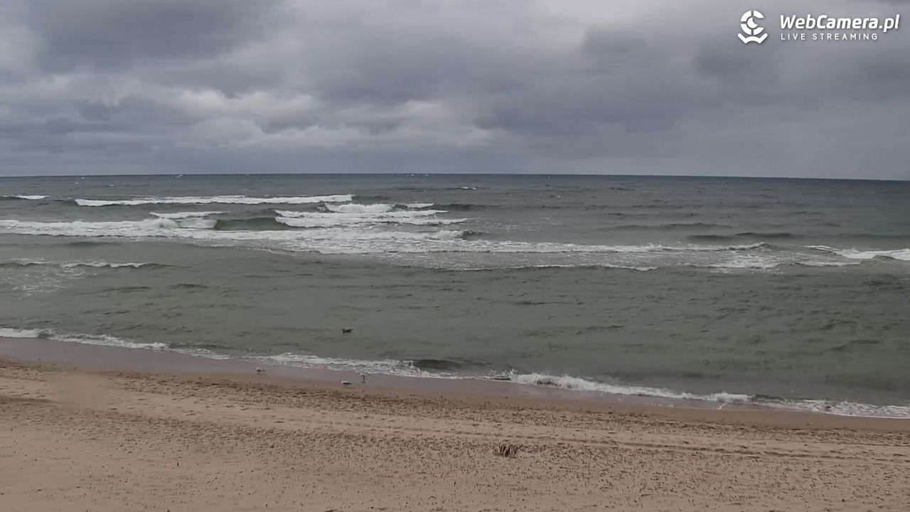 POBIEROWO - widok na plaże - 16 wresień 2025, 13:08