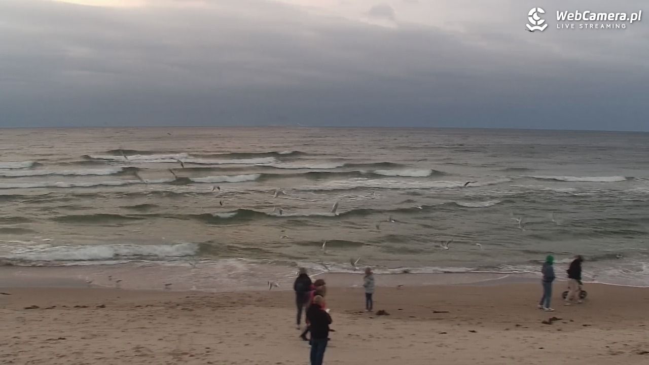 POBIEROWO - widok na plaże - 24 październik 2025, 17:41