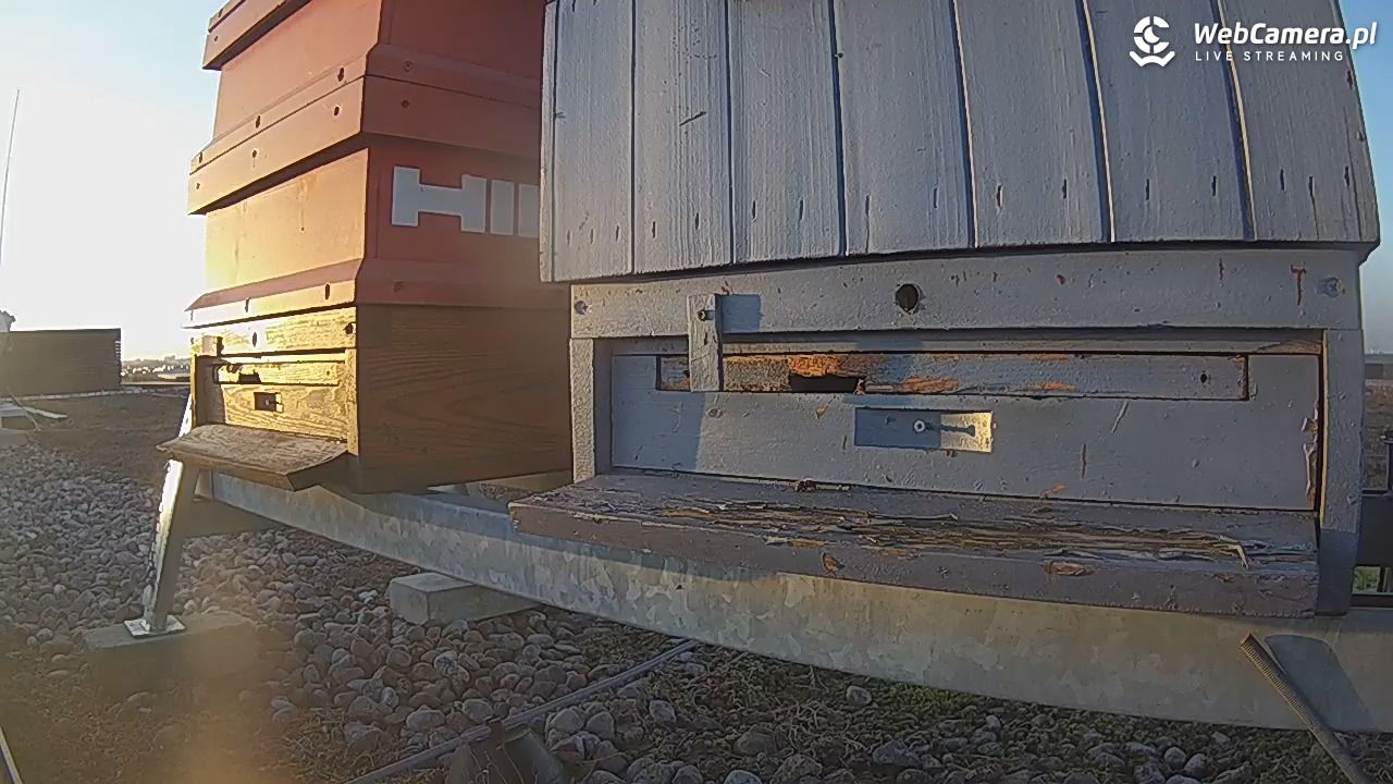 Pszczoły LIVE - 03 marzec 2026, 16:52