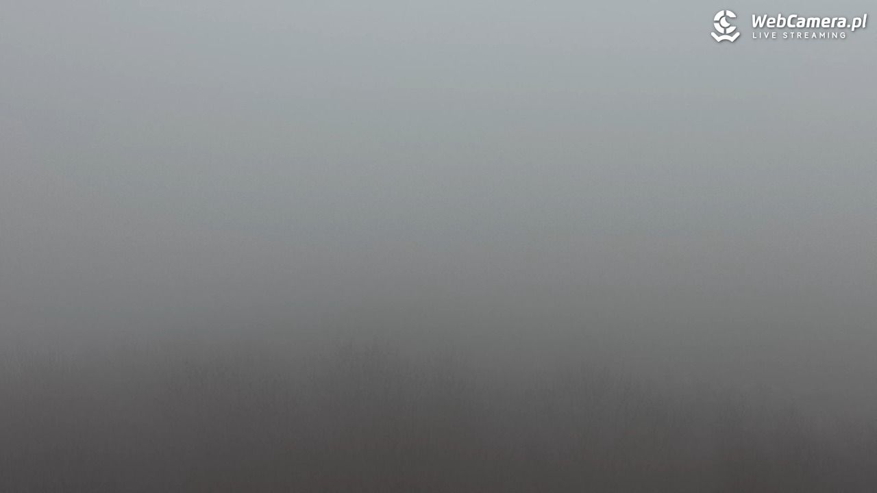 NIECHORZE - panoramiczny widok na plażę - 20 marzec 2026, 09:53