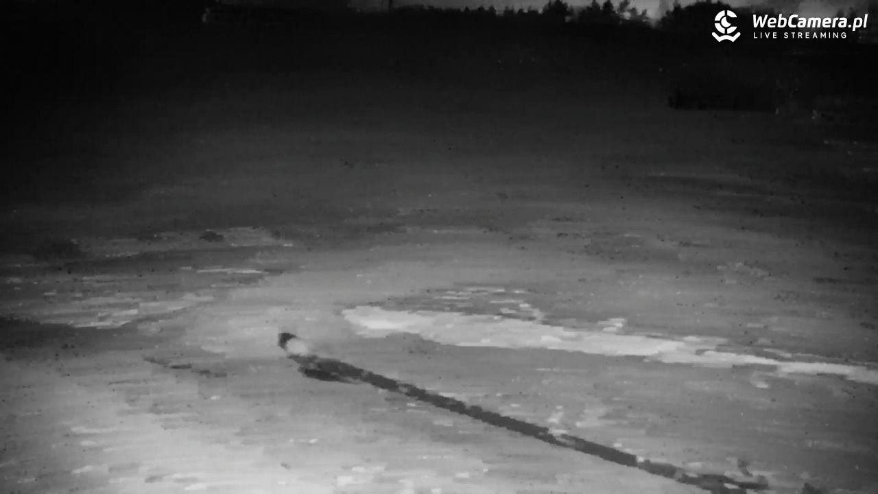 RYBNO -ski - 22 grudzień 2025, 19:01