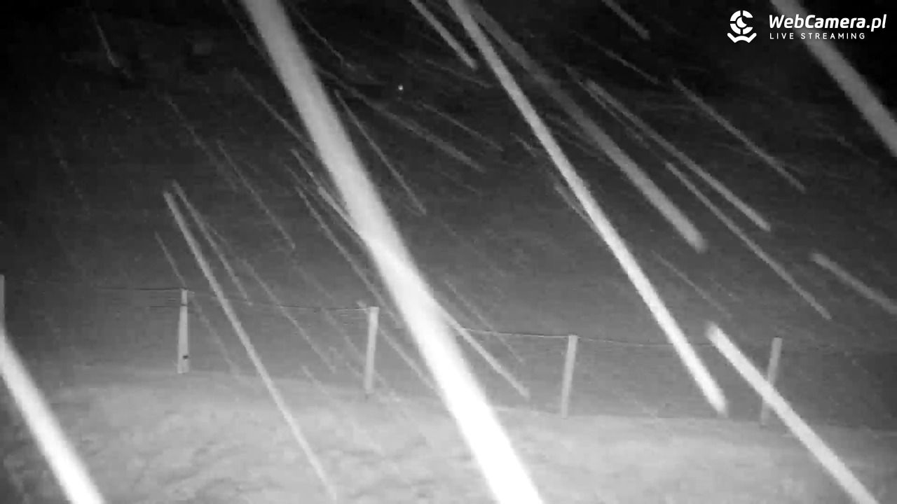 RYBNO -ski - 13 luty 2026, 22:24