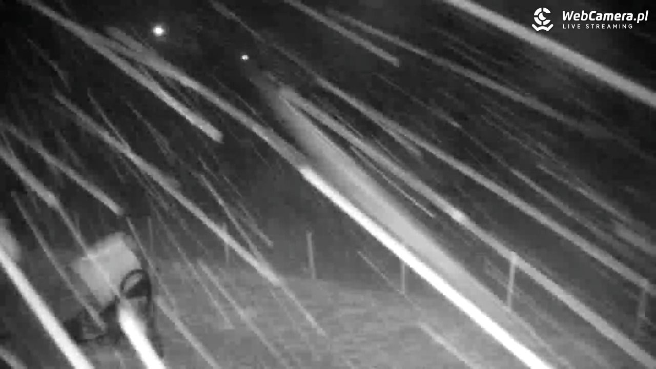 RYBNO -ski - 13 luty 2026, 22:21