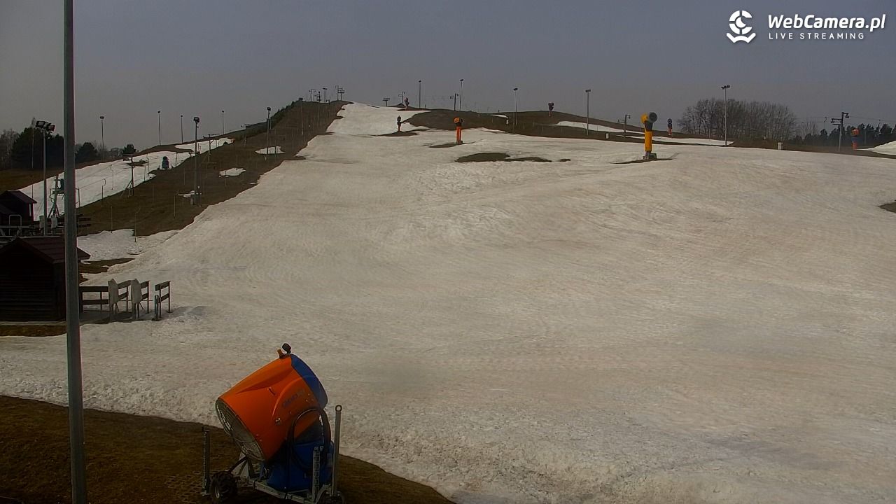 RYBNO -ski - 24 marzec 2026, 10:24