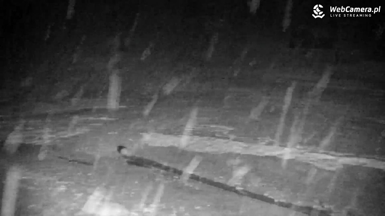 RYBNO -ski - 20 grudzień 2025, 18:14