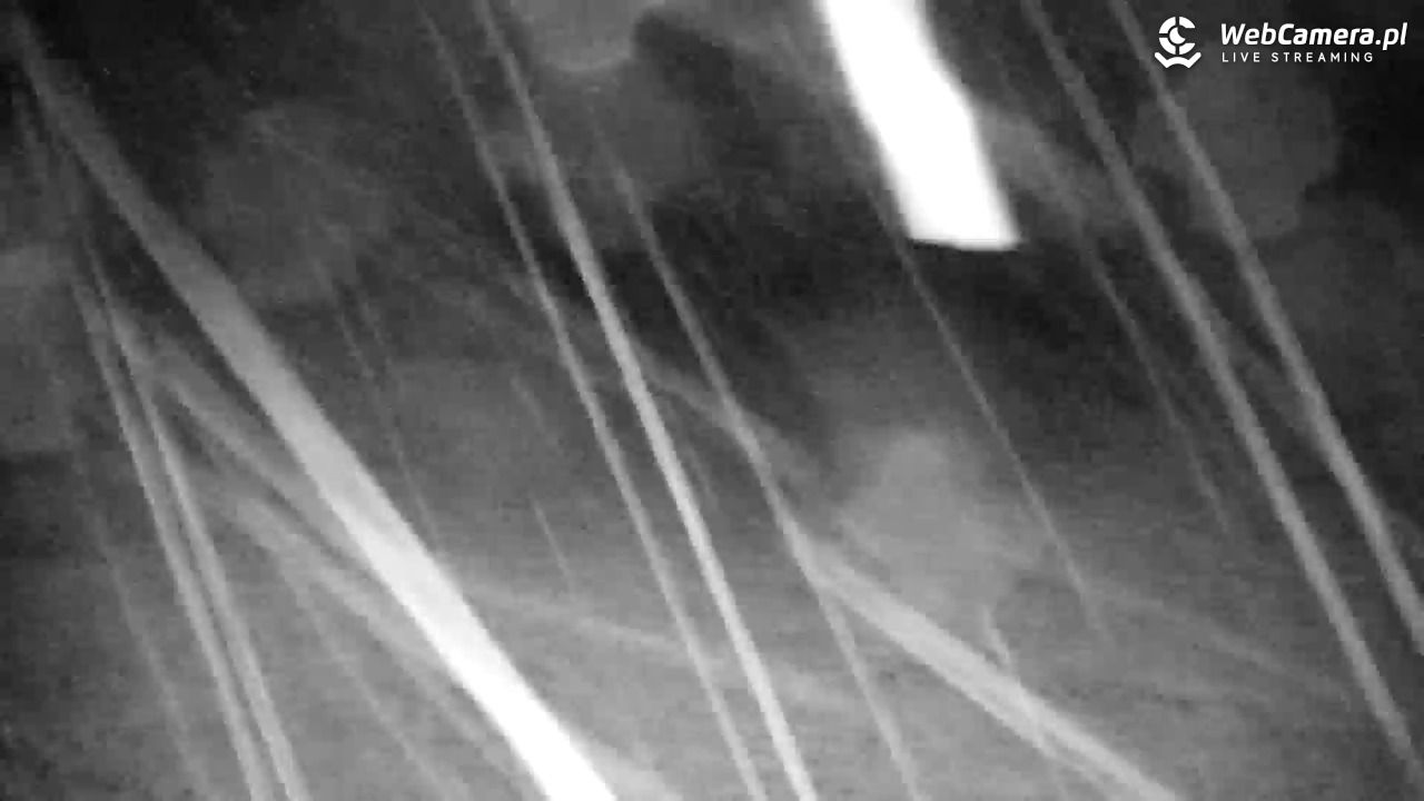 RYBNO -ski - 19 lipiec 2026, 22:48