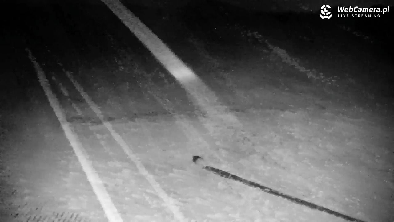 RYBNO -ski - 19 lipiec 2026, 22:21