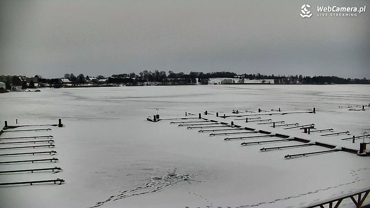 RYN - widok na Marinę - 25 styczeń 2026, 12:06