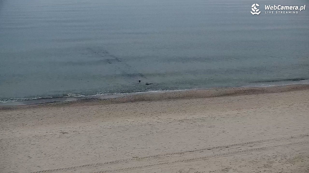 SARBINOWO - widok na plażę - 12 kwiecień 2026, 20:11