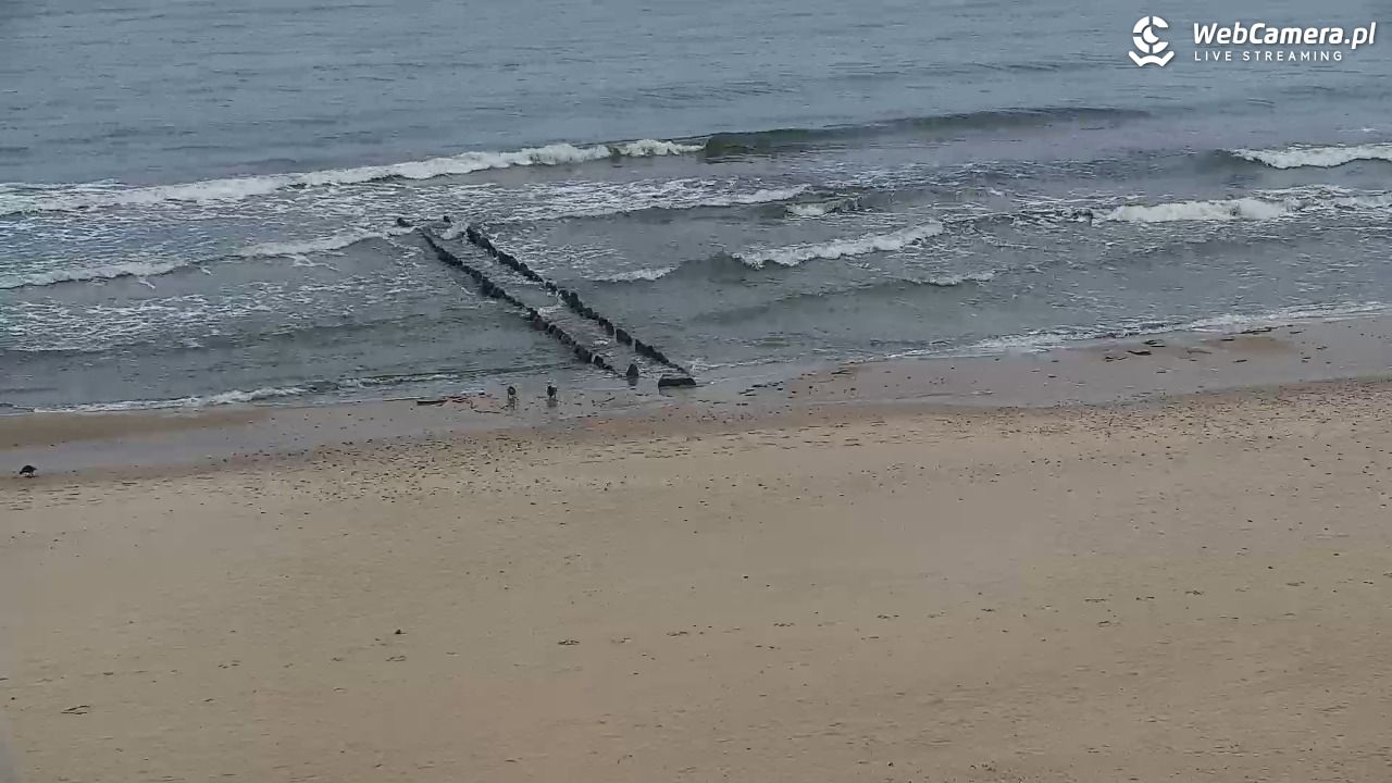SARBINOWO - widok na plażę - 22 luty 2026, 09:14