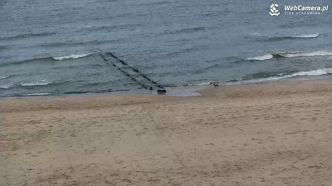 SARBINOWO - widok na plażę - 23 luty 2026, 16:50