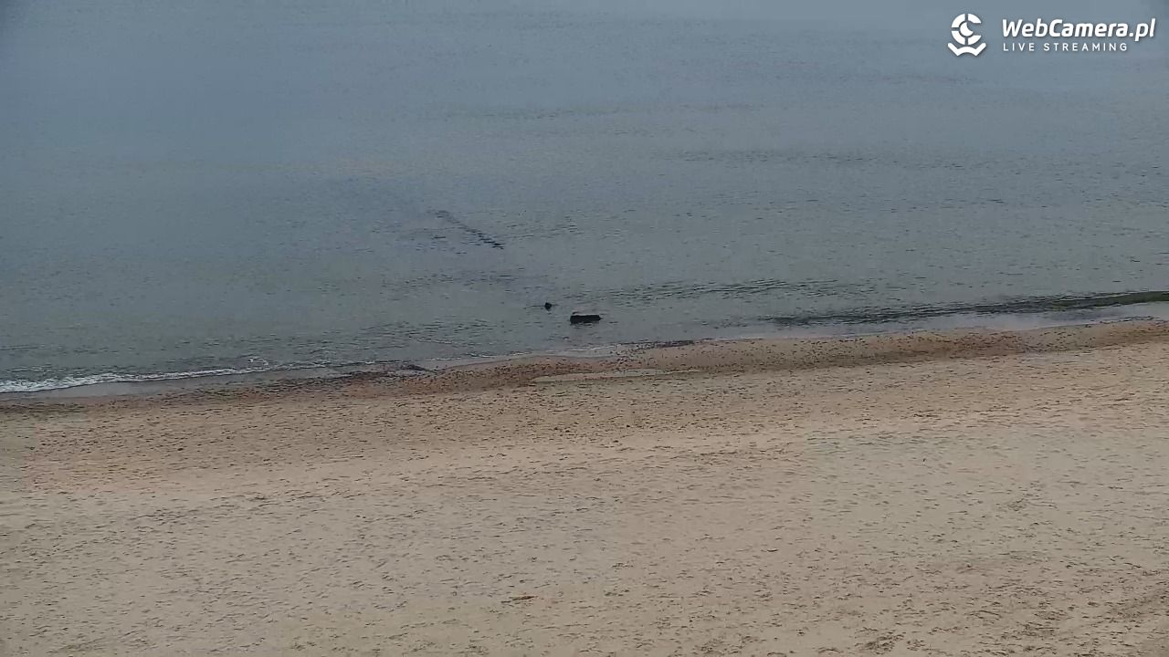 SARBINOWO - widok na plażę - 12 kwiecień 2026, 18:42