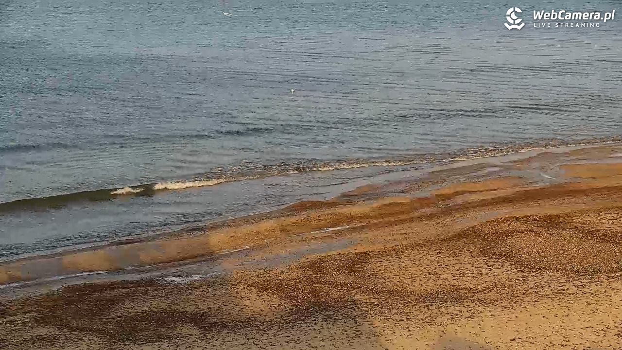 SARBINOWO - widok na plażę - 08 styczeń 2026, 12:04